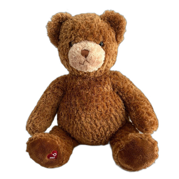Gund Stuffed Animal Little Brown Bear "2007” (46461) - Picture 1 of 10